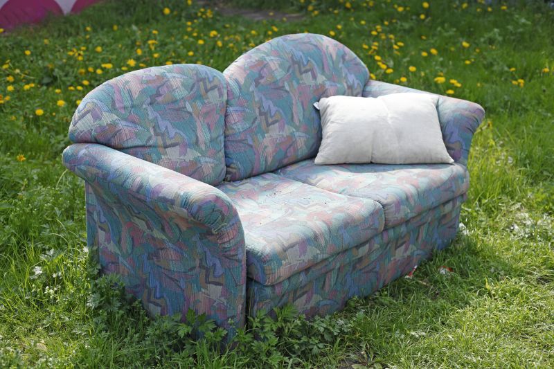 Sofa Bed Removal in Roseville, CA